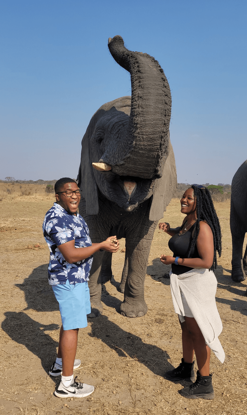 Simba Banda Profile Picture
